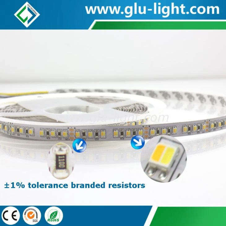 Shenzhen factory 2 in 1 CCT tunable 3527 led strip 24V 120led/m two color led strip 