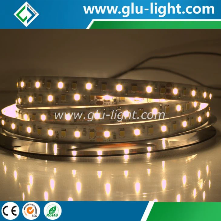 China Hybrid two colors 2835 CRI97 60leds/m CCT adjustable led strip