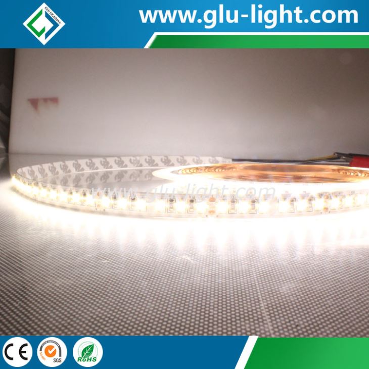 DC24V daylite and Tungsten 2835 Bi-color Flex led strip