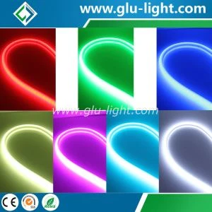 Dải đèn LED đủ màu 5050 RGB Dải đèn neon chống nước 60led/m 12V/24V