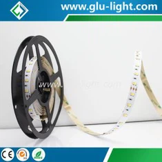 Đèn led lai DC24V 5630 2-trong 1 tùy chỉnh cho ngành công nghiệp Flim