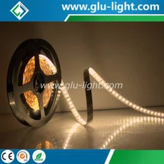 Bán buôn Dải Led 12V/24V 180leds/m 2835 Dot Free Với CE/RoHS/UL