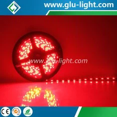 DC24V RGB Color 020 Side Emitting Flexible Led Strip With 60 Leds/m Made In China